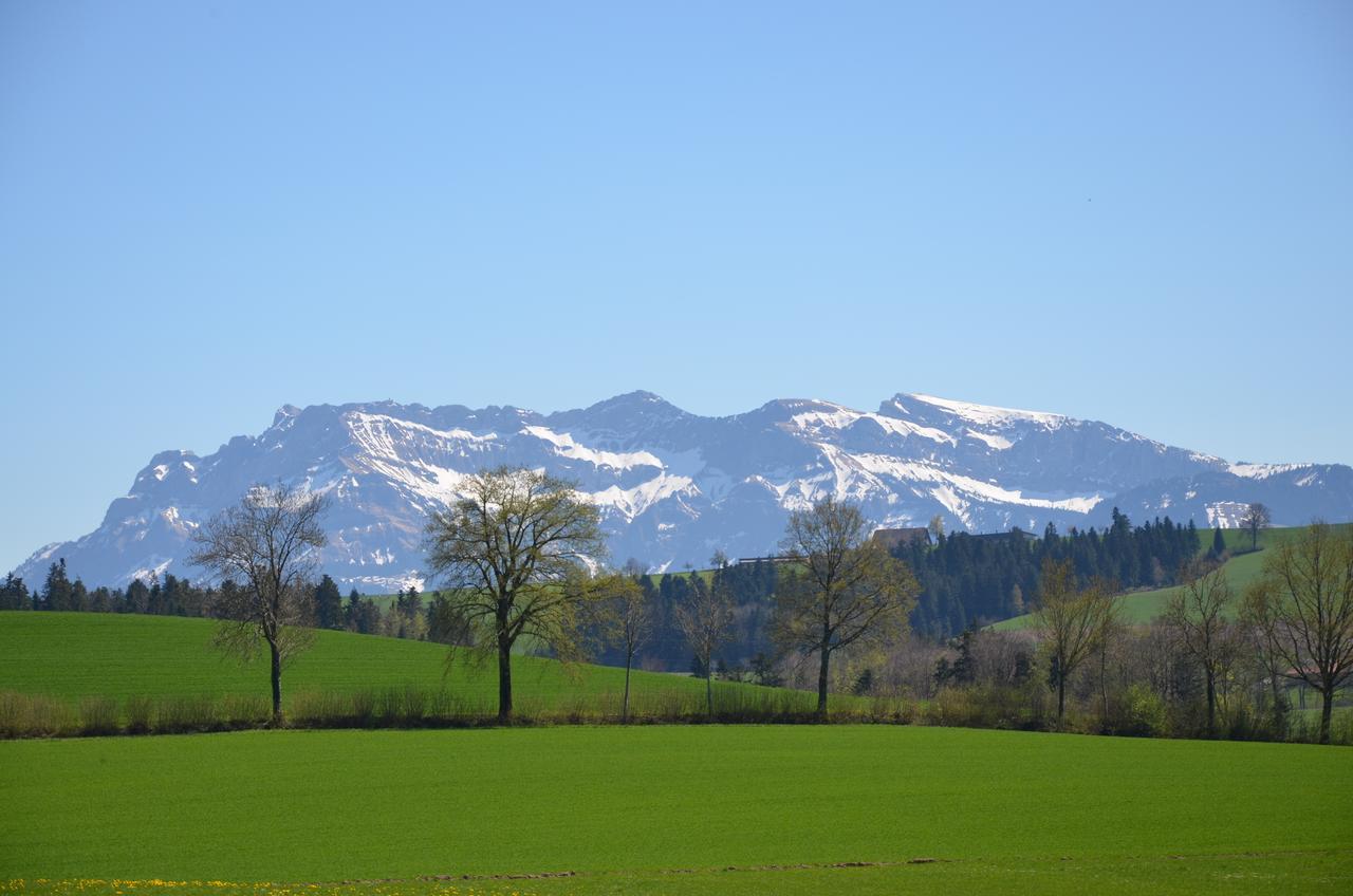 B&B Friedau Nottwil Bagian luar foto